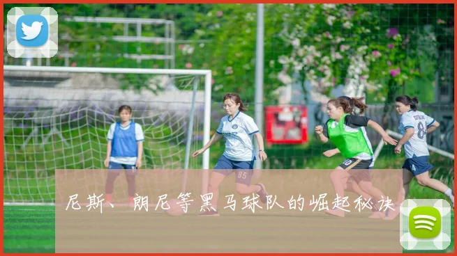 尼斯、朗尼等黑马球队的崛起秘诀